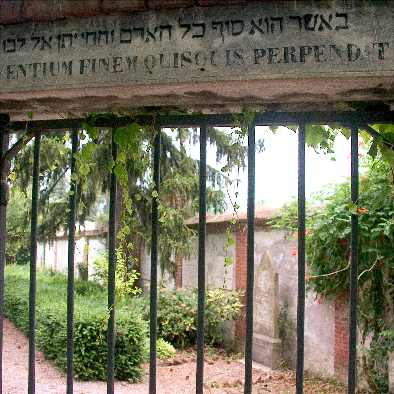 Mondovì-cimitero-01 Dettaglio dell'interno del cimitero di Mondovì