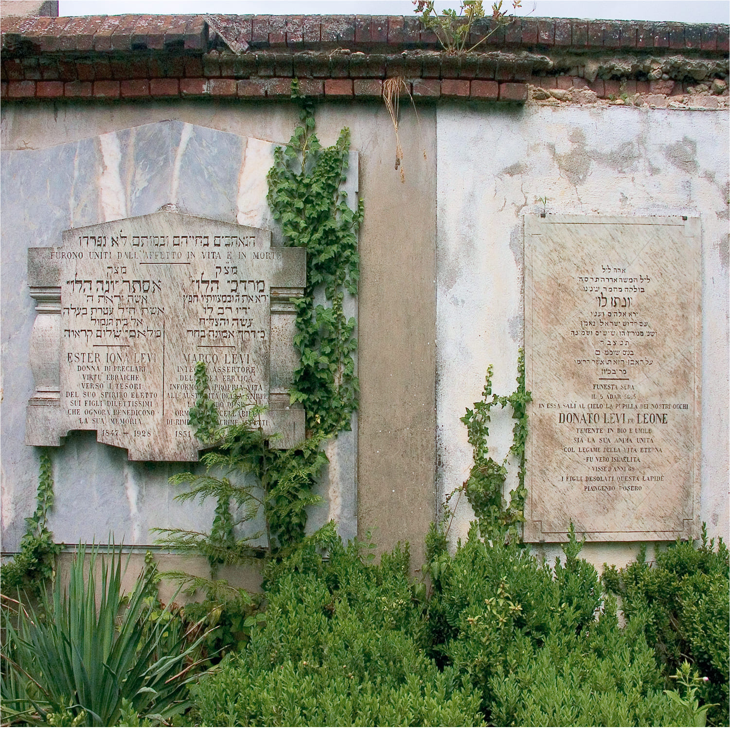 Mondovì-cimitero-02 Dettaglio dell'interno del cimitero di Mondovì